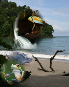 montage 2
