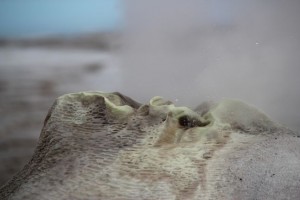 IMG_4402