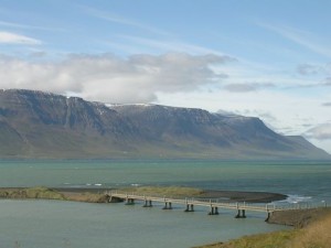 IMG_4456