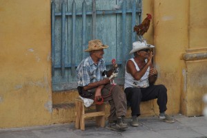 IMG_8954