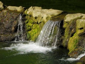 IMG_8992