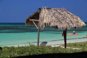 IMG_9081