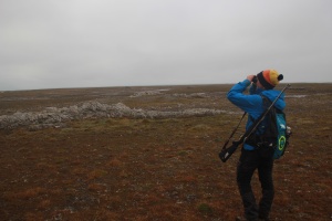 isfjordIMG_6074