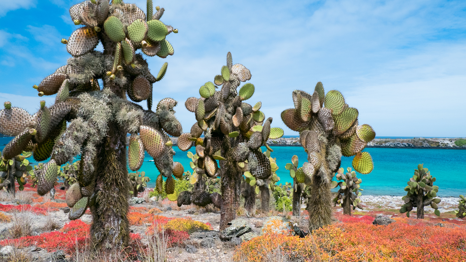 GALAPAGOS EQUATEUR