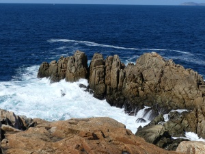P1050888