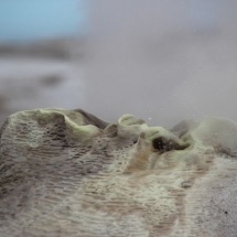 IMG_4402