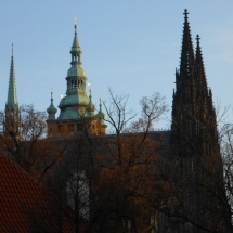 DSCN0881