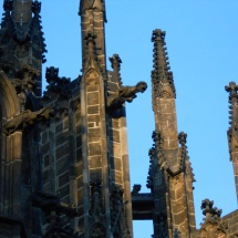 DSCN0901