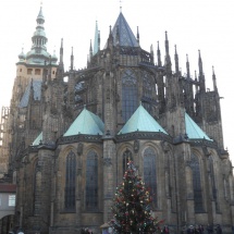DSCN0905