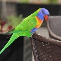 20130711-090747.jpg