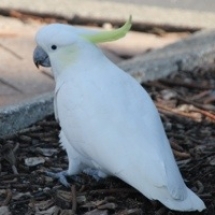 20130711-205536.jpg