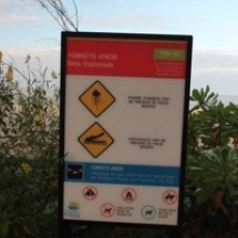 20130723-205347.jpg