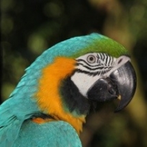 20130725-182043.jpg