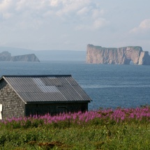 ile bonaventure