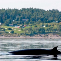 tadoussac