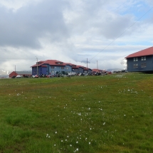 LongyearbynP1000843