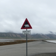 LongyearbynP1000860