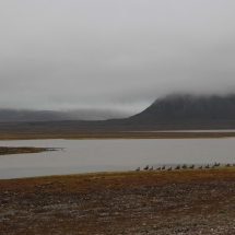 isfjordIMG_6053
