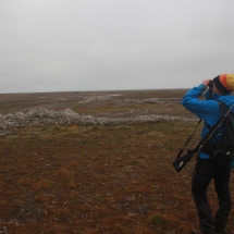 isfjordIMG_6074