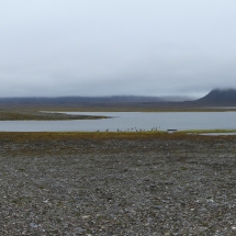 isfjordP1000713