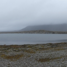 isfjordP1000735