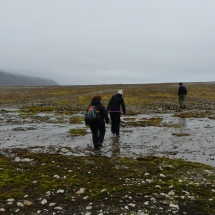 isfjordP1000790