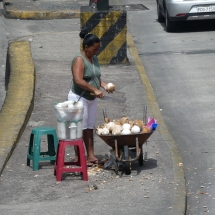 p1030208