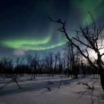 Aurora_WB_4