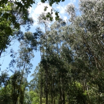 P1050281