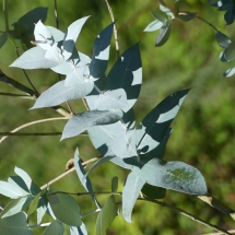 P1050284