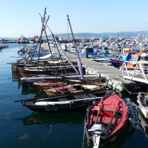P1050331