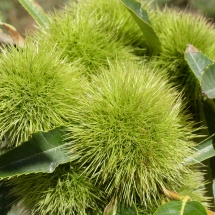 P1050387