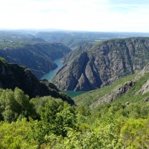 P1050546