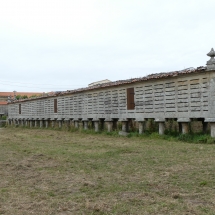P1050663