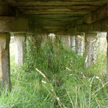 P1050665