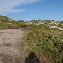P1050816