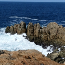 P1050888