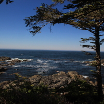 A6388502-BDED-4826-8E55-F3FF0B016229