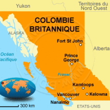 C2D0E137-4134-4B75-8024-5C2759B89849