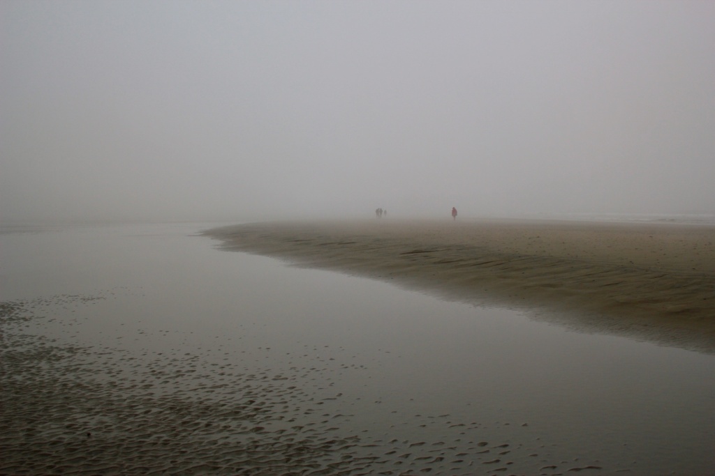 D7293CEC-E74E-4DFE-887C-388B7E43F670