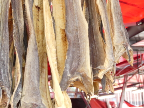 P1090148 - Copie