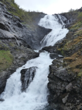P1090175 - Copie