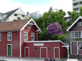 P1090282 - Copie