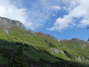 P1090393 - Copie