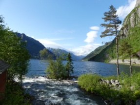 P1090418 - Copie