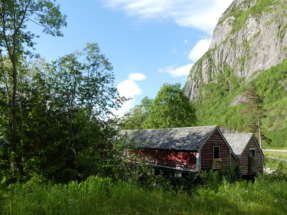 P1090422 - Copie