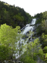 P1090430 - Copie