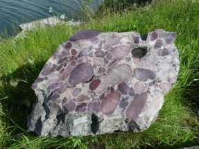 P1090480 - Copie