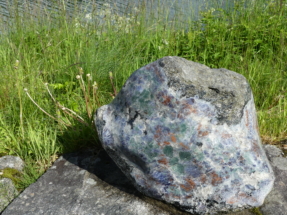 P1090482 - Copie