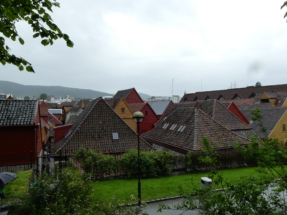 P1090495 - Copie